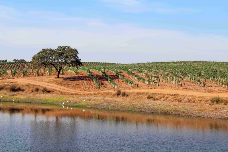 Alentejo