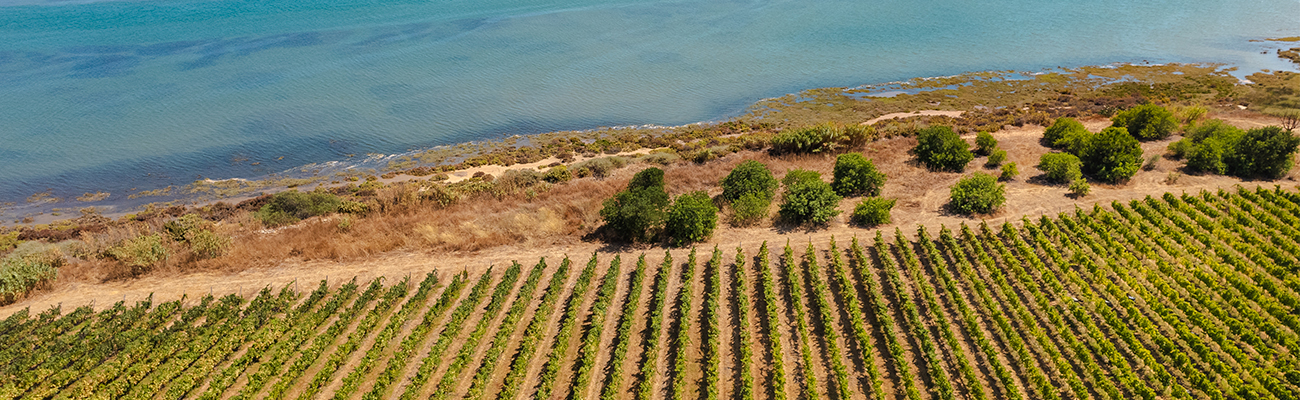 ALGARVE RIA