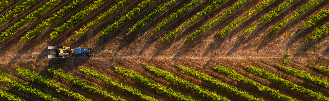 CSL_Vinhos Verdes-4.JPG